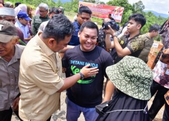 Menanam Bersama Pj Gubernur Sulsel, Petani Milenial Ikut Galakkan Budidaya Cavendish