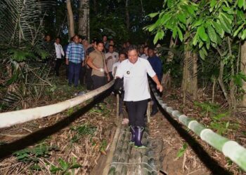 Perjuangan Pj Gubernur Bahtiar Galakkan Budidaya Pisang Cavendish