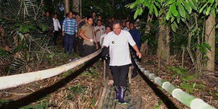 Perjuangan Pj Gubernur Bahtiar Galakkan Budidaya Pisang Cavendish