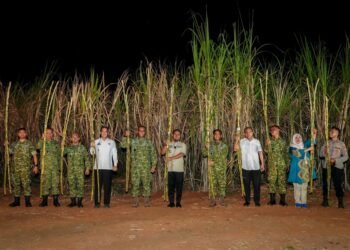 Panen Raya Tebu Bersama TNI, Gubernur Sulsel Perkuat Dukungan Program Ketahanan Pangan Nasional