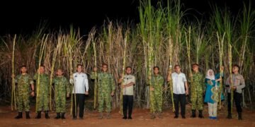 Panen Raya Tebu Bersama TNI, Gubernur Sulsel Perkuat Dukungan Program Ketahanan Pangan Nasional