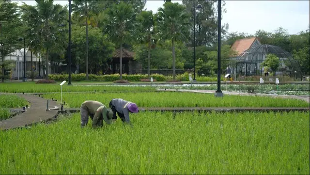 Pemprov Sulsel Siapkan 300 Pompa Alkon untuk Bantu Petani Hadapi Kekeringan